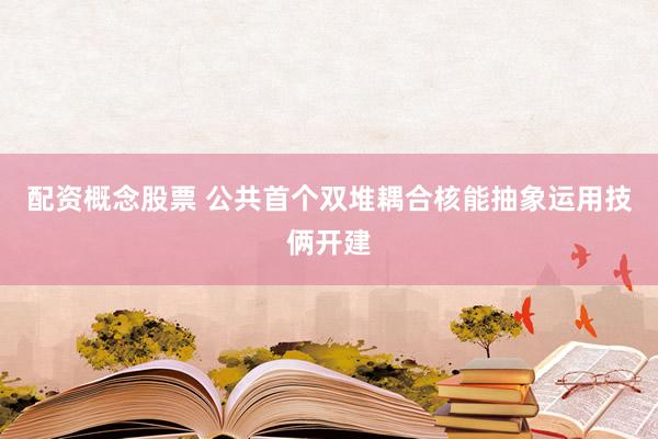 配资概念股票 公共首个双堆耦合核能抽象运用技俩开建